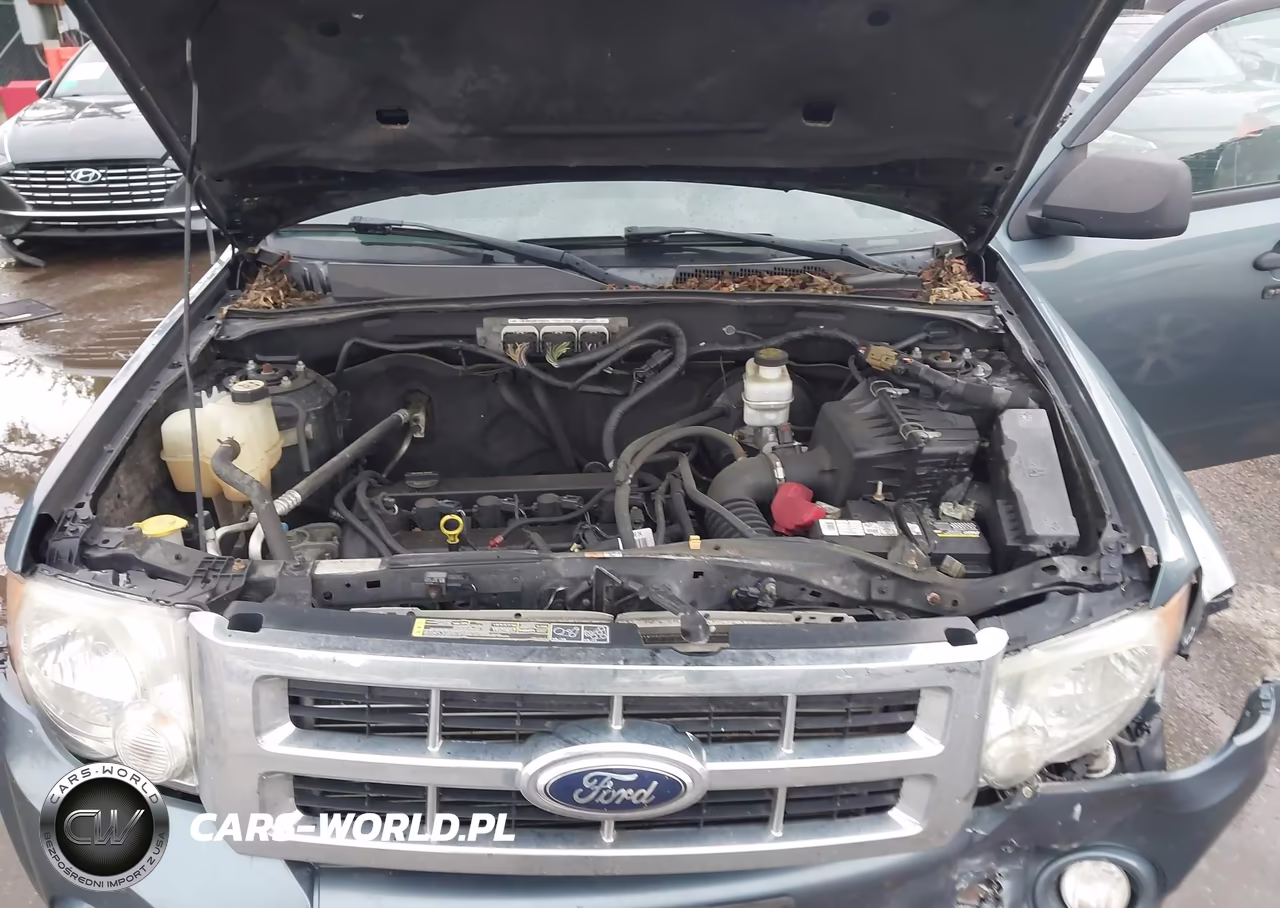 2012 Ford Escape Xlt VIN:1FMCU9D73CKC34893 - 10