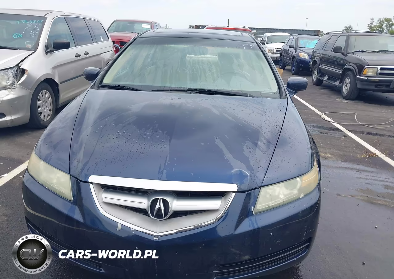 2004 Acura Tl VIN:19UUA66244A027116 - 6