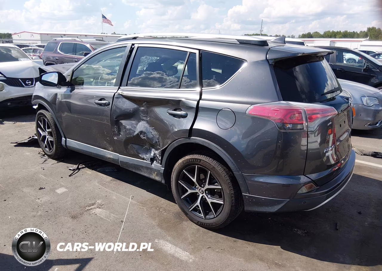 2016 Toyota Rav4 Se VIN:JTMNFREVXGJ066007 - 3