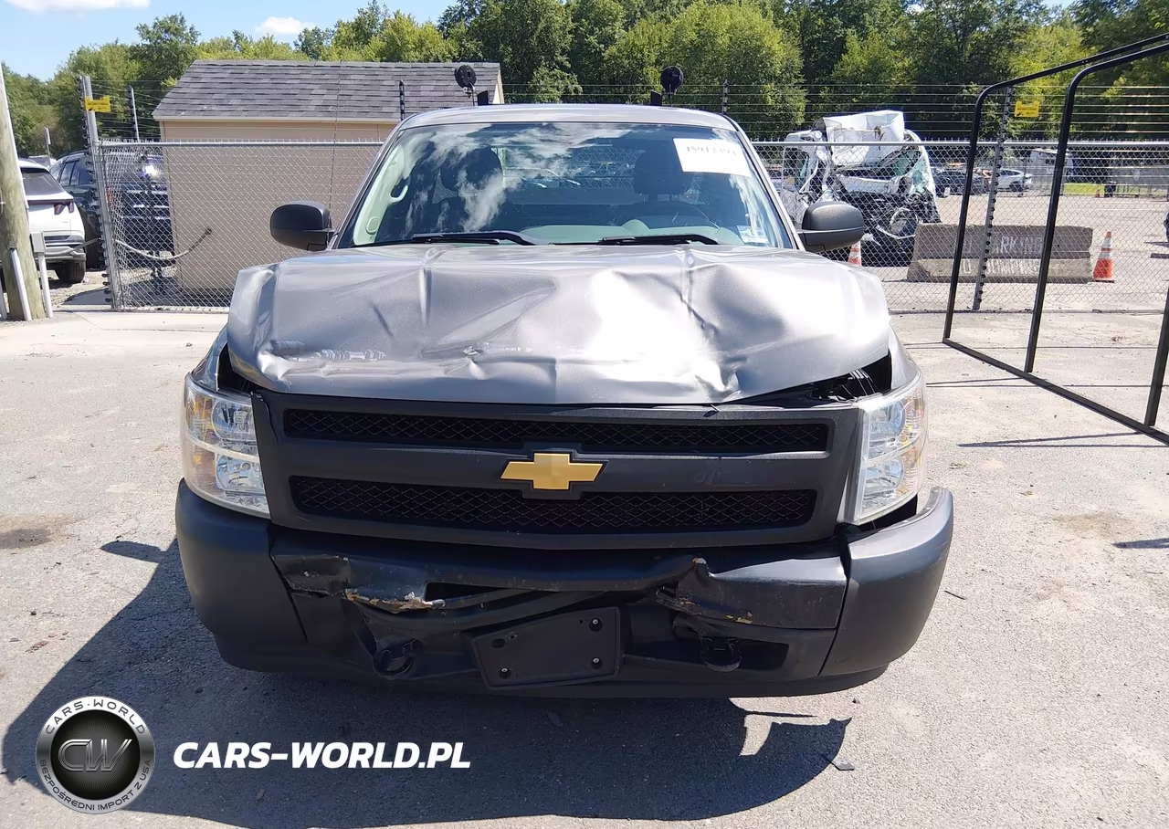 2013 Chevrolet Silverado 1500 Work Truck VIN:1GCNCPEX0DZ163633 - 12