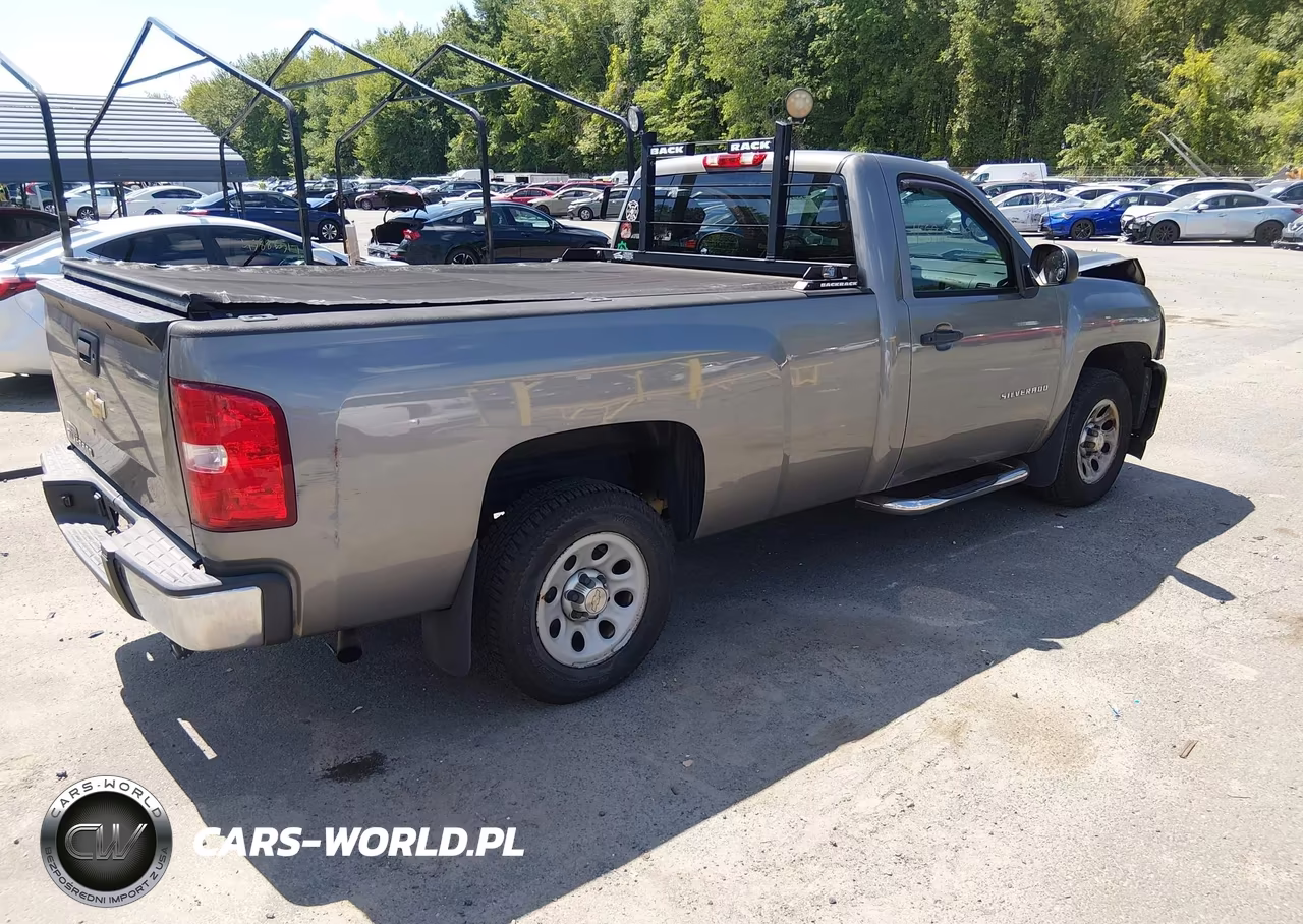2013 Chevrolet Silverado 1500 Work Truck VIN:1GCNCPEX0DZ163633 - 4