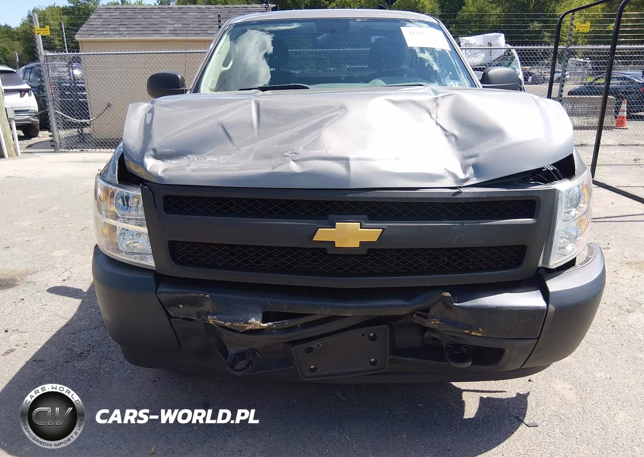 2013 Chevrolet Silverado 1500 Work Truck VIN:1GCNCPEX0DZ163633 - 6