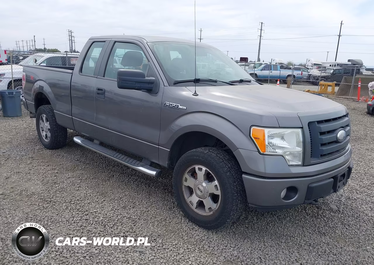 2009 Ford F-150 Stx-Xl