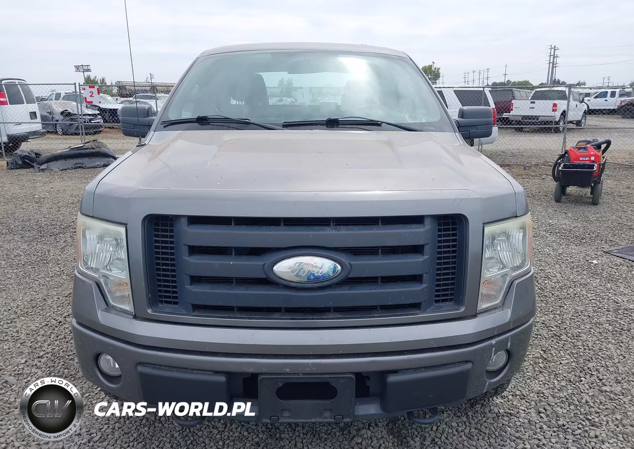2009 Ford F-150 Stx-Xl VIN:1FTRX14W59FB09510 - 12