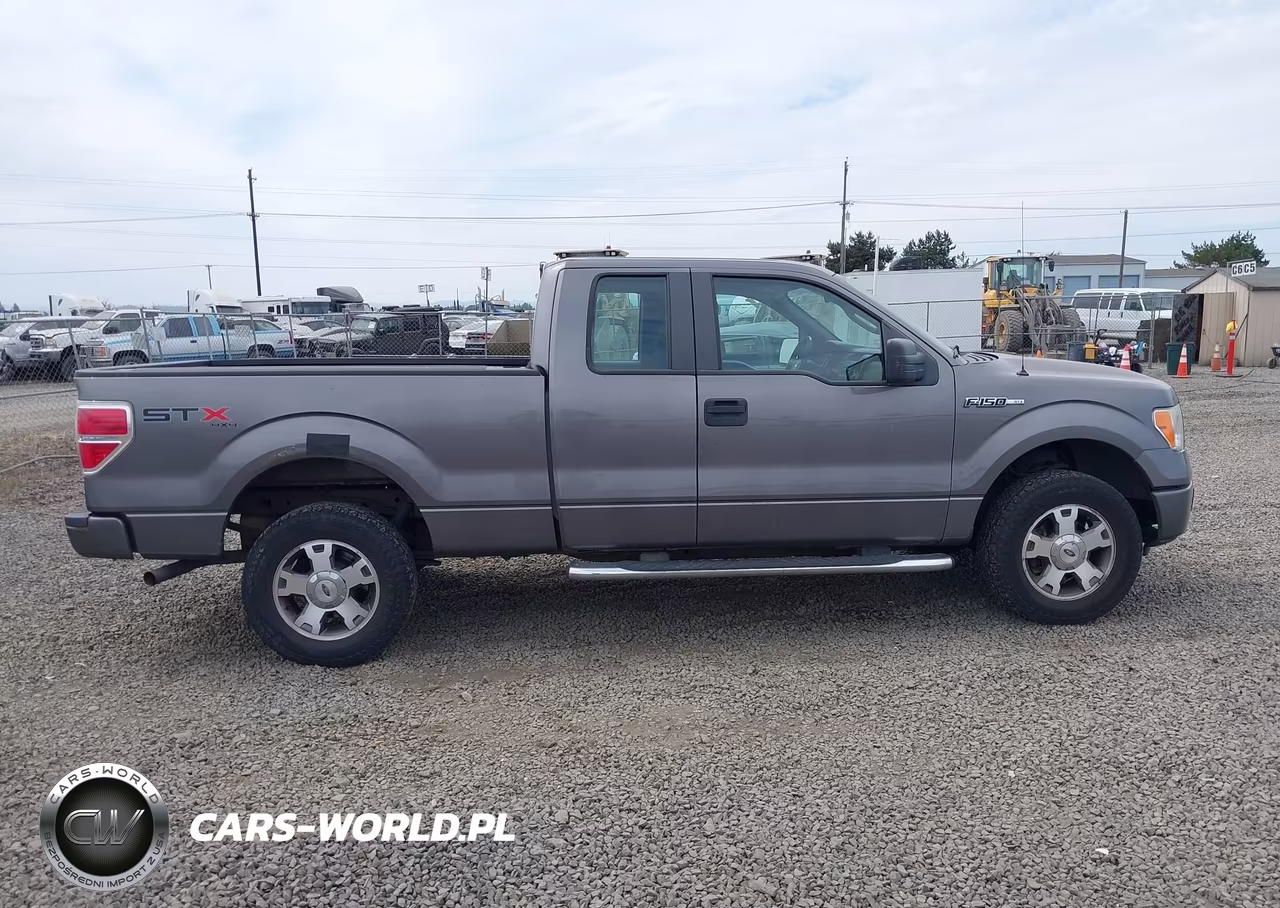 2009 Ford F-150 Stx-Xl VIN:1FTRX14W59FB09510 - 13