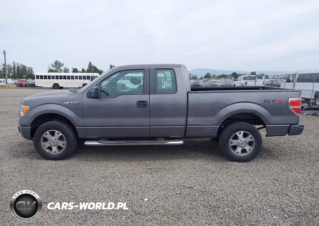 2009 Ford F-150 Stx-Xl VIN:1FTRX14W59FB09510 - 14