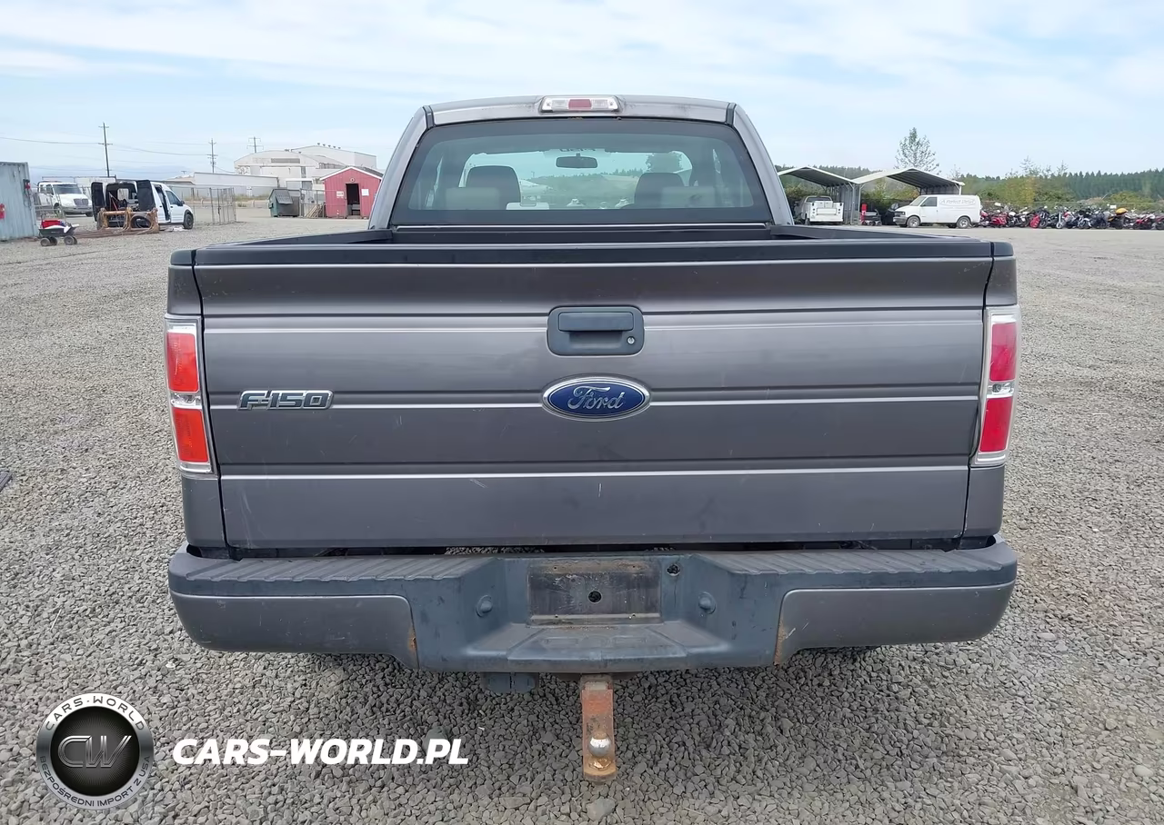 2009 Ford F-150 Stx-Xl VIN:1FTRX14W59FB09510 - 16