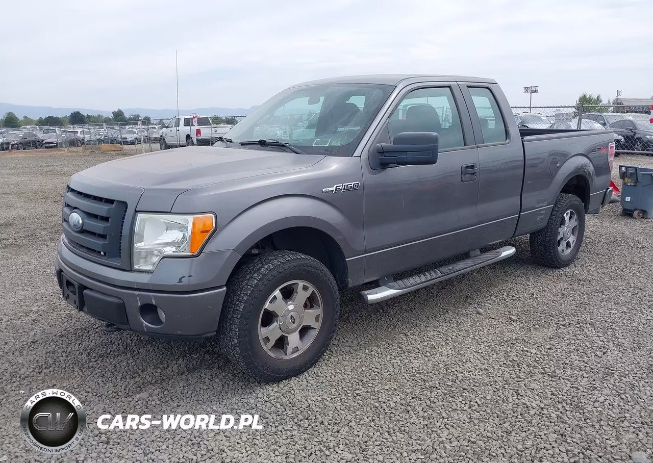2009 Ford F-150 Stx-Xl VIN:1FTRX14W59FB09510 - 2