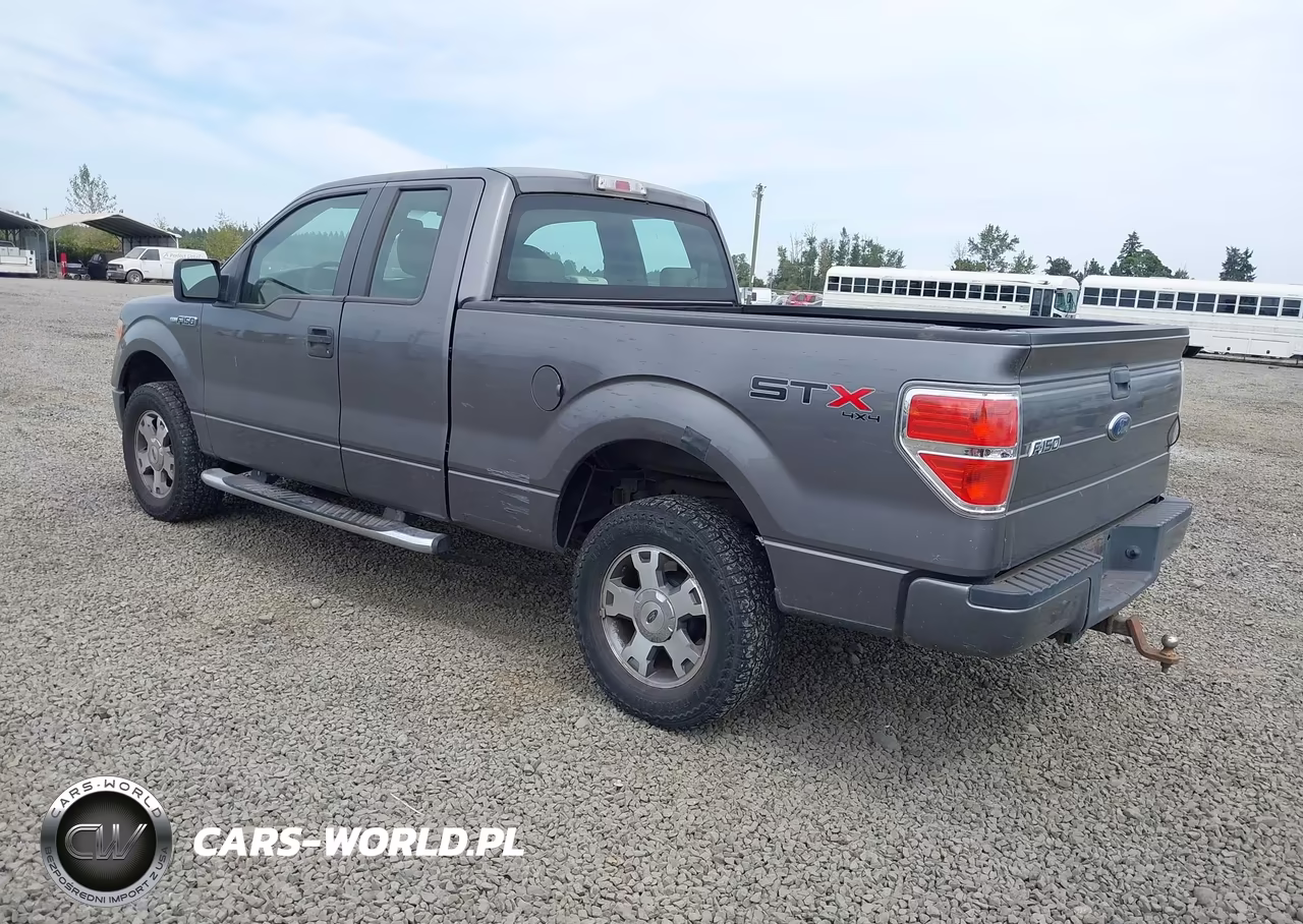 2009 Ford F-150 Stx-Xl VIN:1FTRX14W59FB09510 - 3