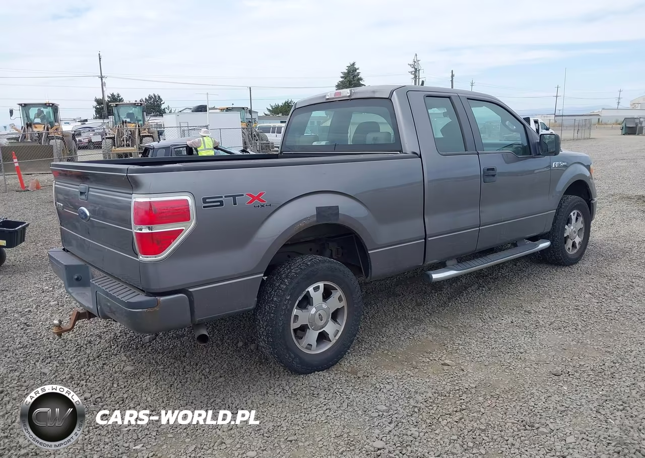 2009 Ford F-150 Stx-Xl VIN:1FTRX14W59FB09510 - 4