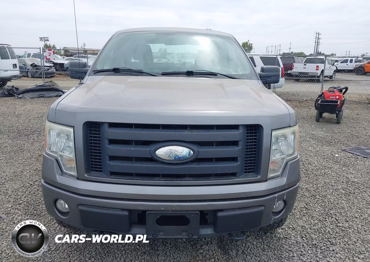 2009 Ford F-150 Stx-Xl VIN:1FTRX14W59FB09510 - 6