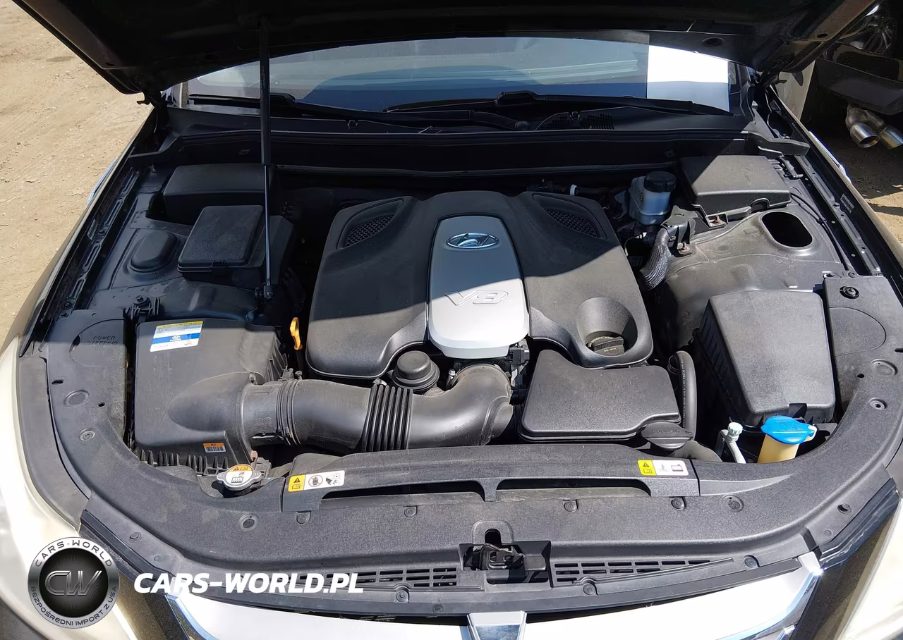 2012 Hyundai Genesis 4.6 VIN:KMHGC4DF5CU178586 - 10