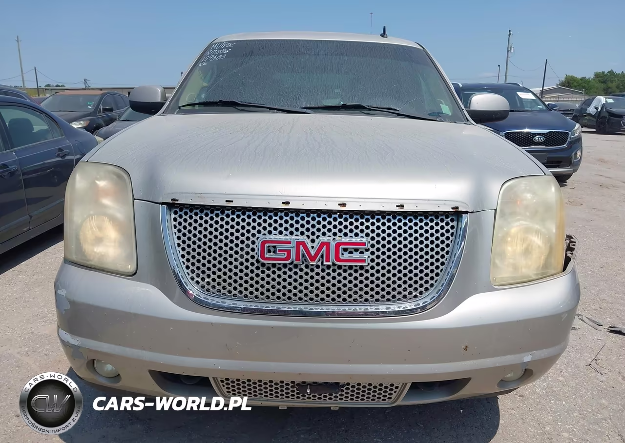 2009 GMC Yukon Denali Denali VIN:1GKFK03229R159603 - 12