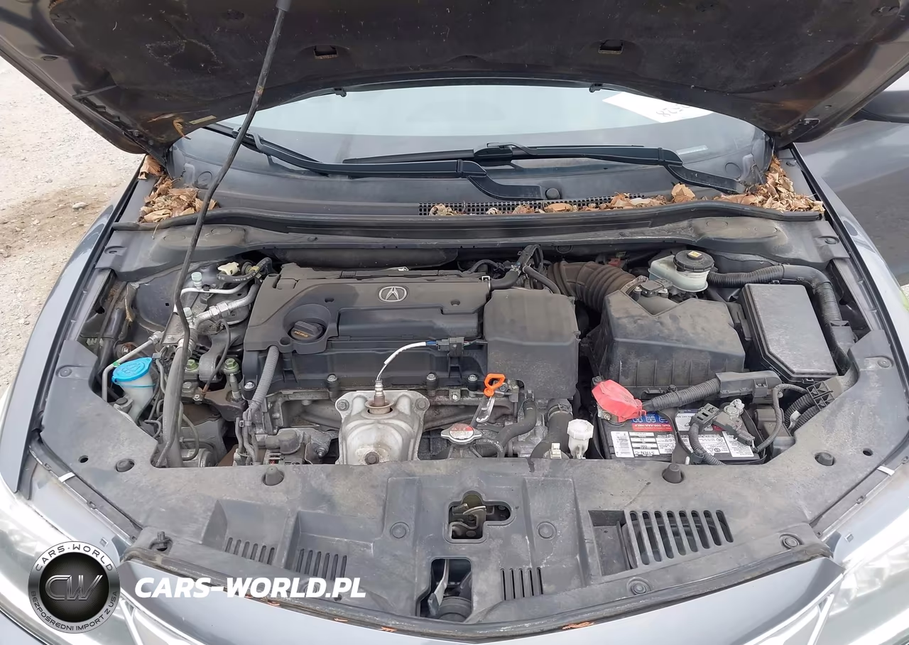2018 Acura Ilx Premium Package-Technology Plus Package VIN:19UDE2F78JA006032 - 10