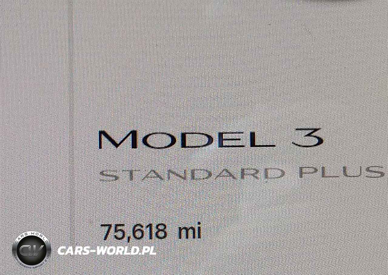 2021 Tesla Model 3 Standard Range Plus Rear-Wheel Drive VIN:5YJ3E1EA3MF996780 - 16