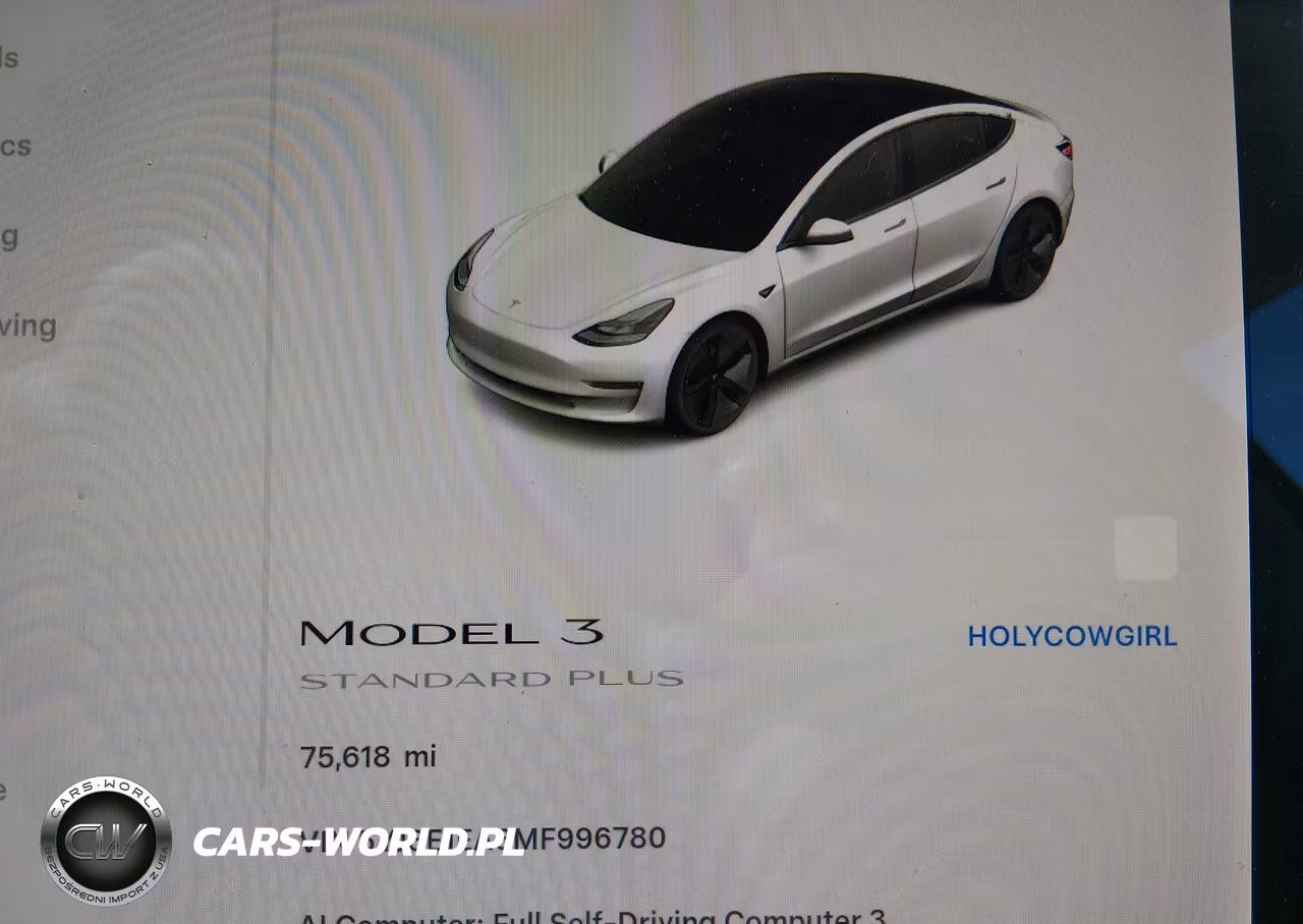 2021 Tesla Model 3 Standard Range Plus Rear-Wheel Drive VIN:5YJ3E1EA3MF996780 - 7