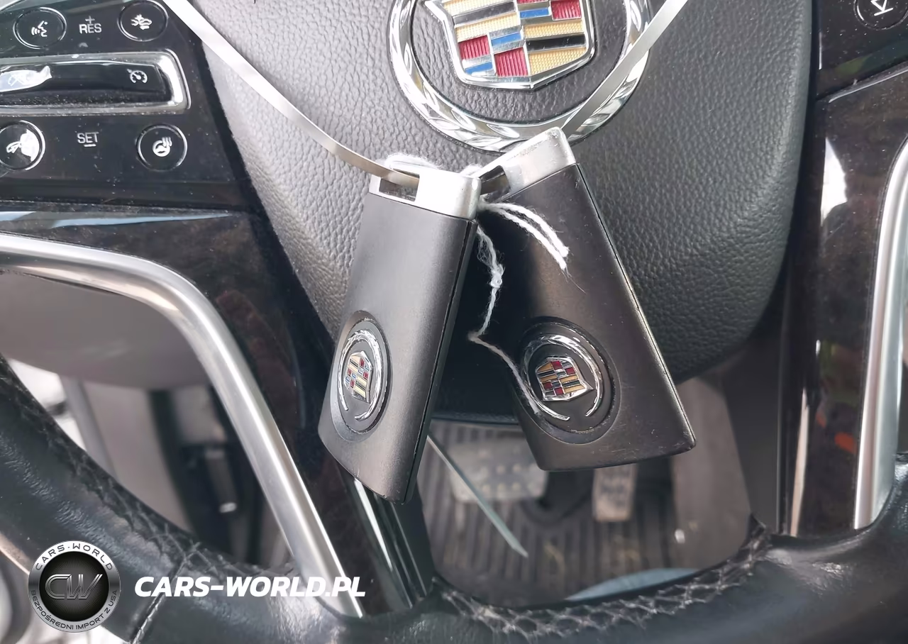 2013 Cadillac Srx Luxury Collection VIN:3GYFNGE36DS541344 - 11