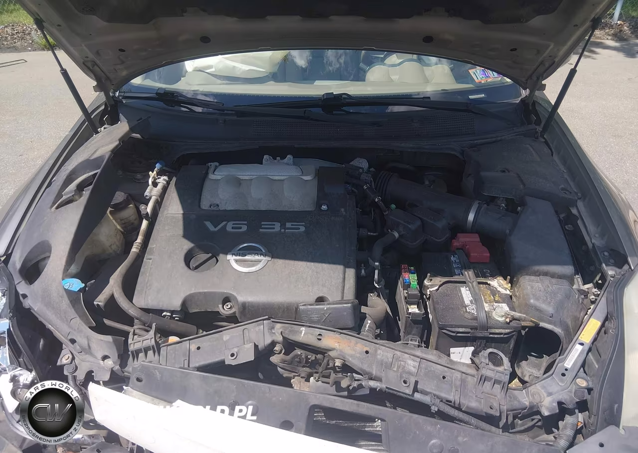 2004 Nissan Maxima 3.5 Sl VIN:1N4BA41E04C847375 - 10