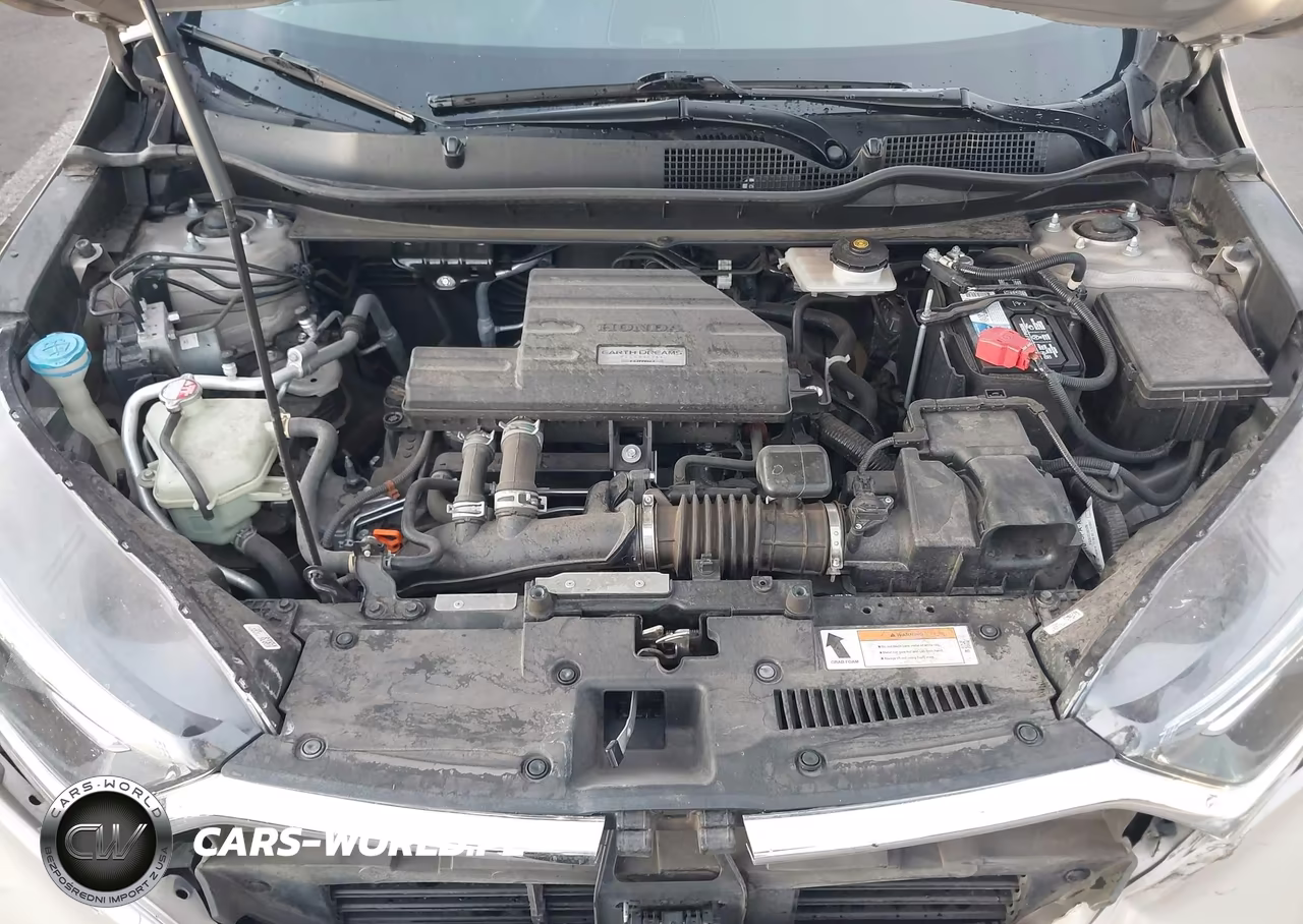 2017 Honda Cr-V Ex-L-Ex-L Navi VIN:5J6RW2H84HL046222 - 10