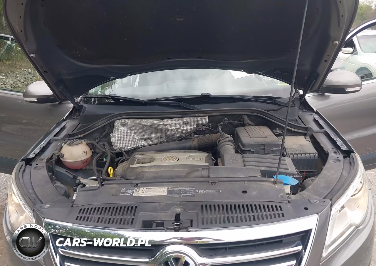 2011 Volkswagen Tiguan Se VIN:WVGBV7AX6BW504594 - 10