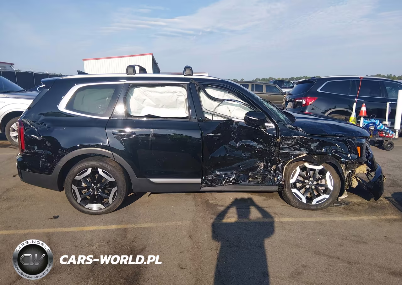 2025 Kia Telluride S VIN:5XYP64GC0SG636354 - 12