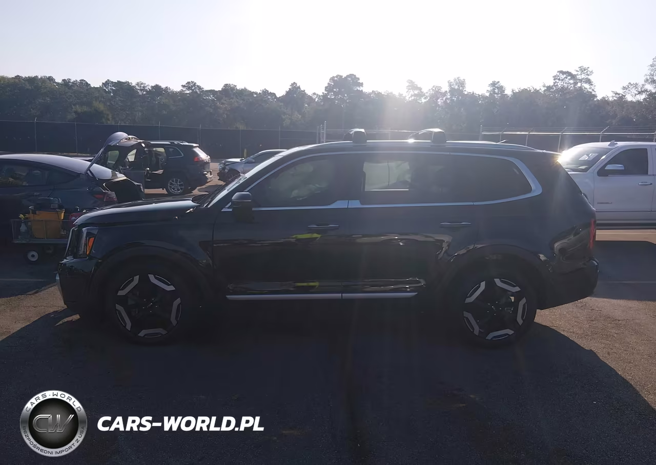 2025 Kia Telluride S VIN:5XYP64GC0SG636354 - 13