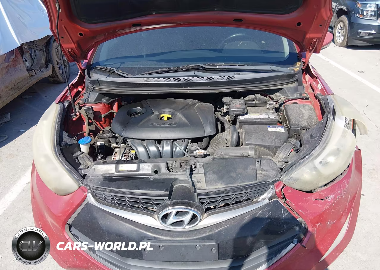 2014 Hyundai Elantra VIN:KMHDH6AH1EU025874 - 10