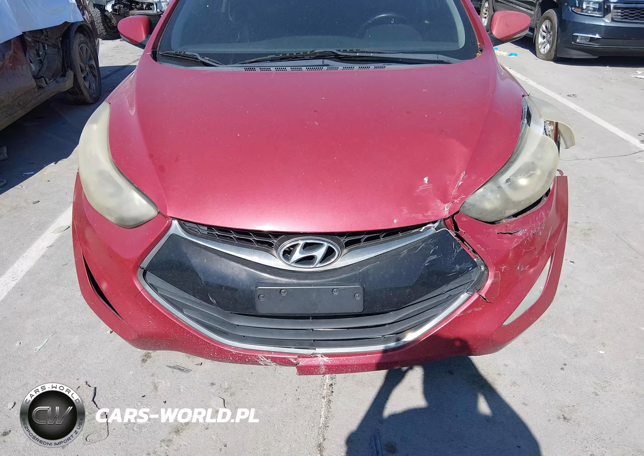 2014 Hyundai Elantra VIN:KMHDH6AH1EU025874 - 12
