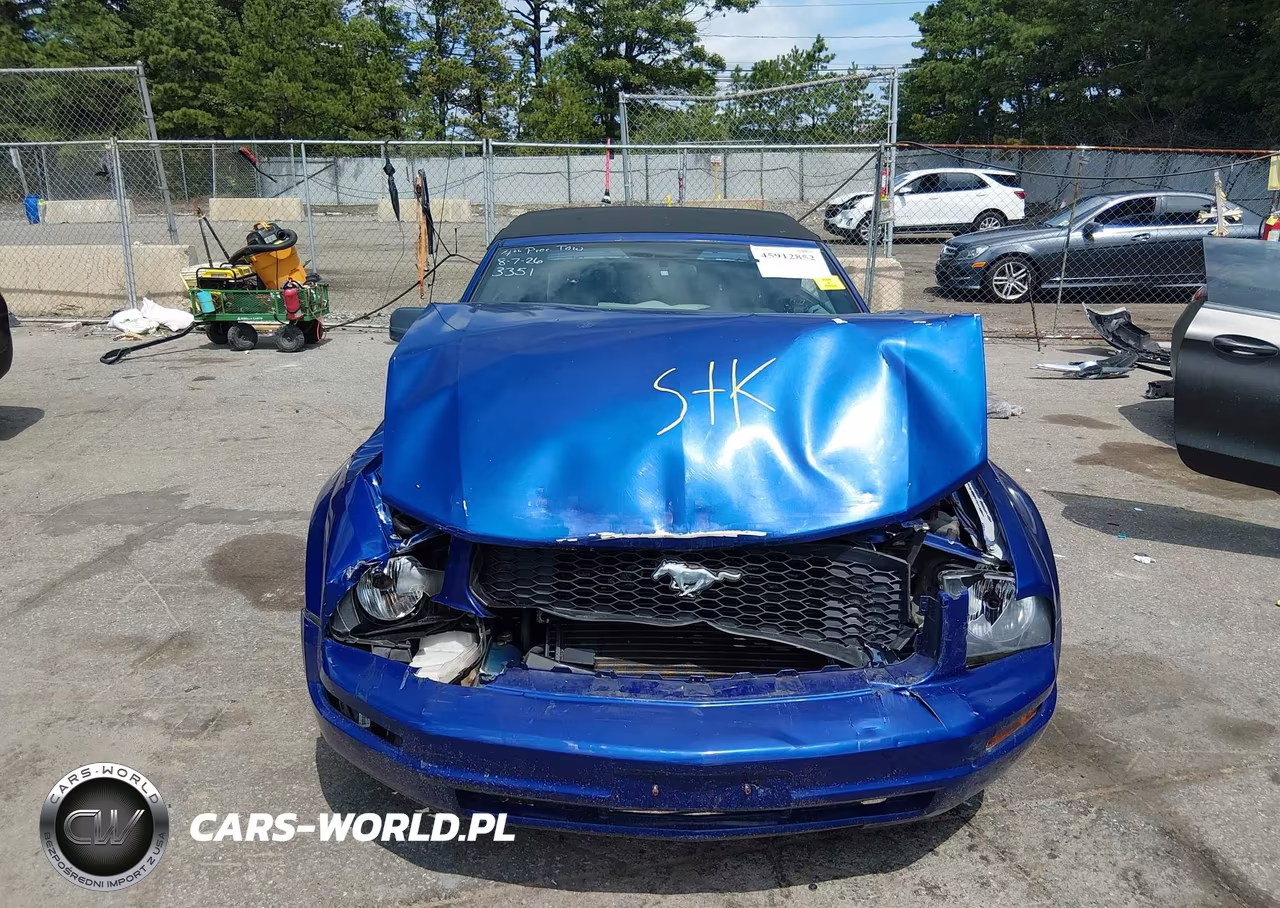 2005 Ford Mustang VIN:1ZVFT84N055248293 - 12