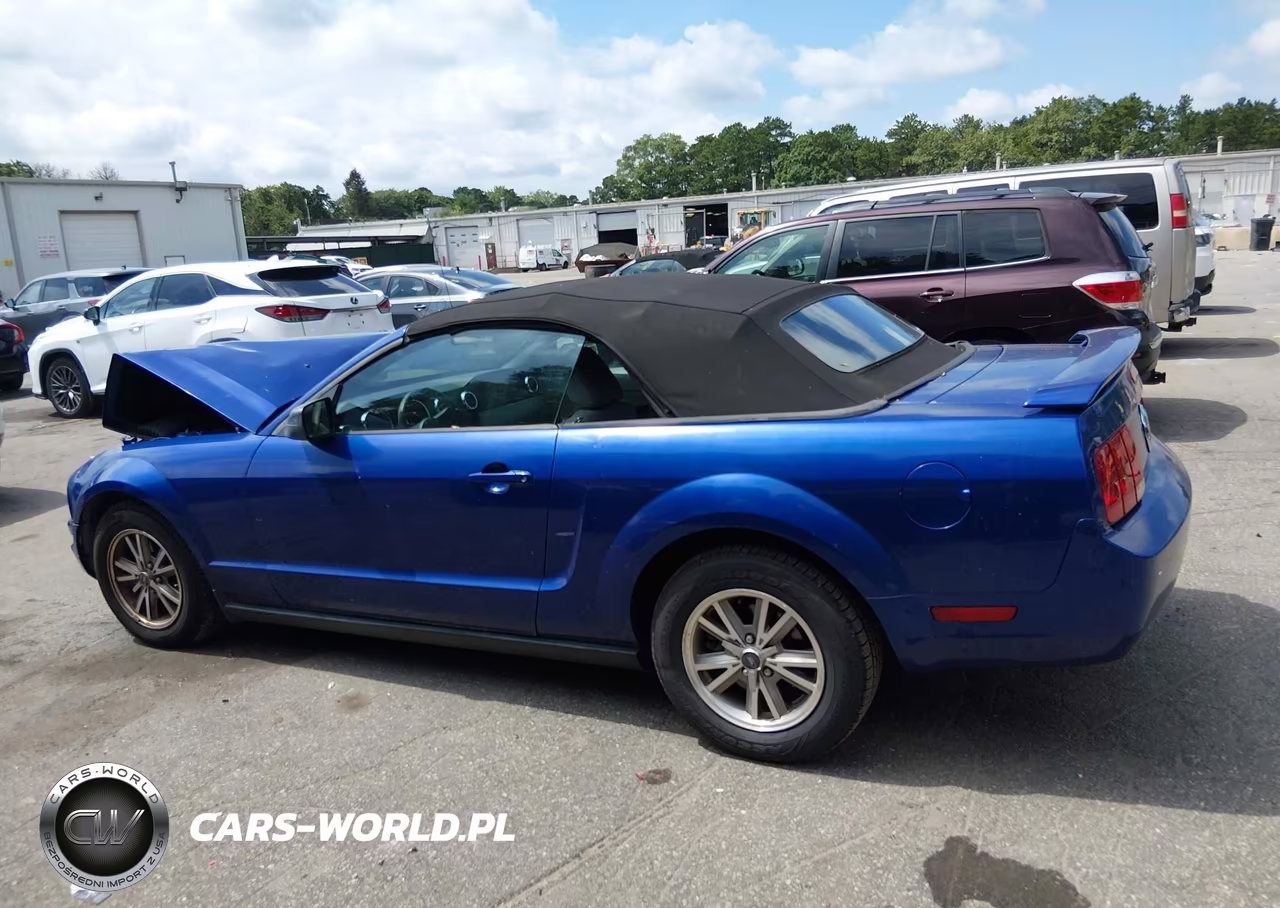 2005 Ford Mustang VIN:1ZVFT84N055248293 - 14