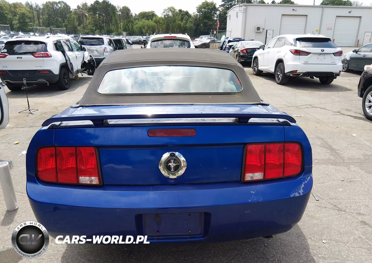 2005 Ford Mustang VIN:1ZVFT84N055248293 - 16