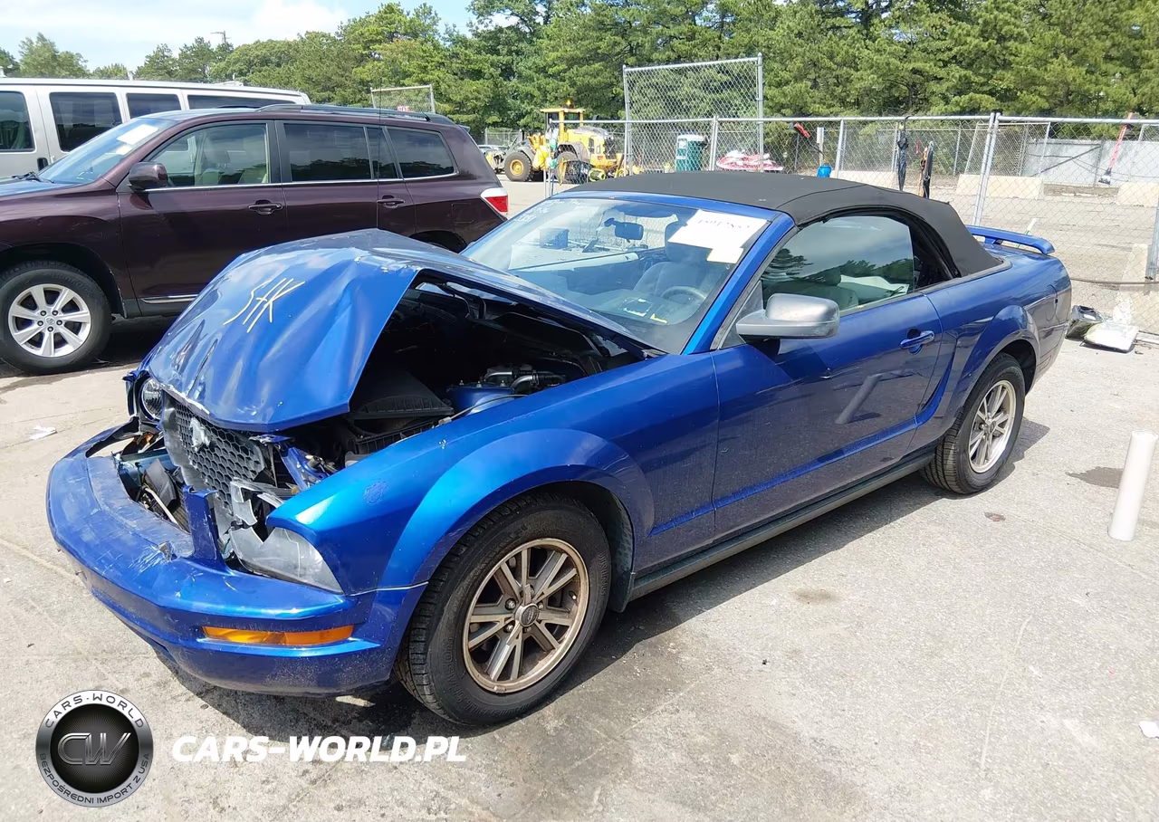 2005 Ford Mustang VIN:1ZVFT84N055248293 - 2