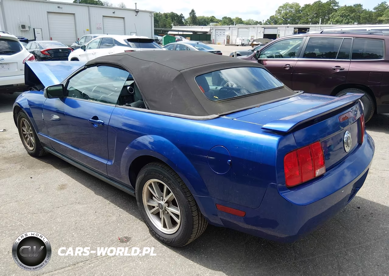 2005 Ford Mustang VIN:1ZVFT84N055248293 - 3
