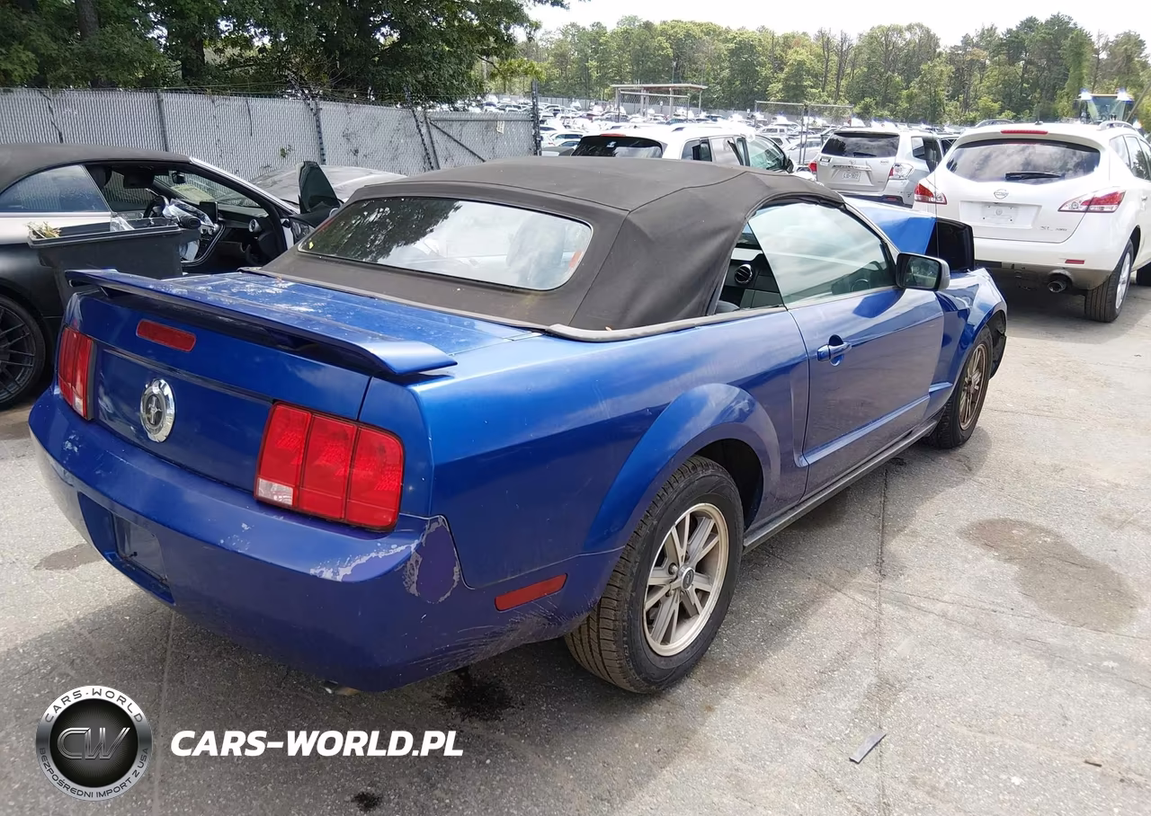 2005 Ford Mustang VIN:1ZVFT84N055248293 - 4