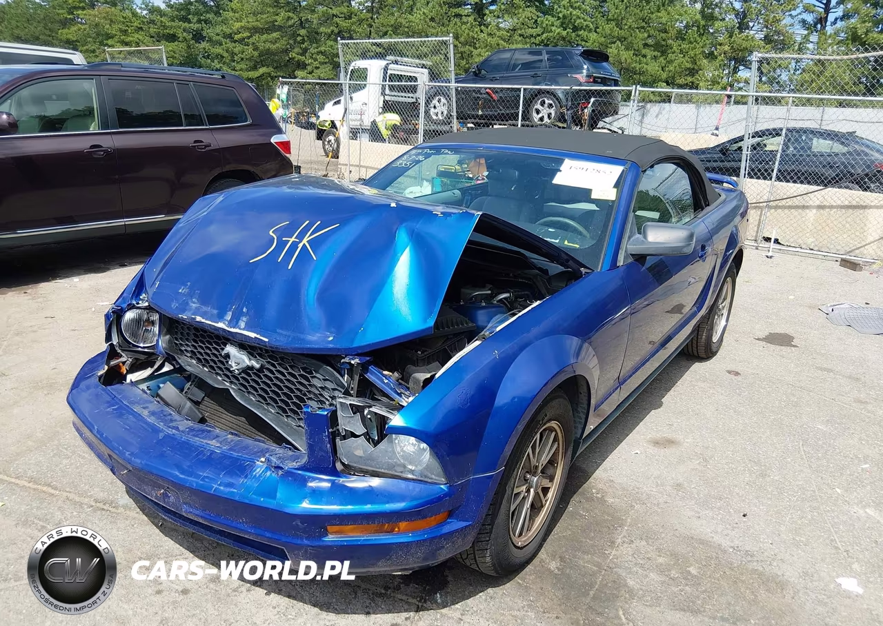 2005 Ford Mustang VIN:1ZVFT84N055248293 - 6