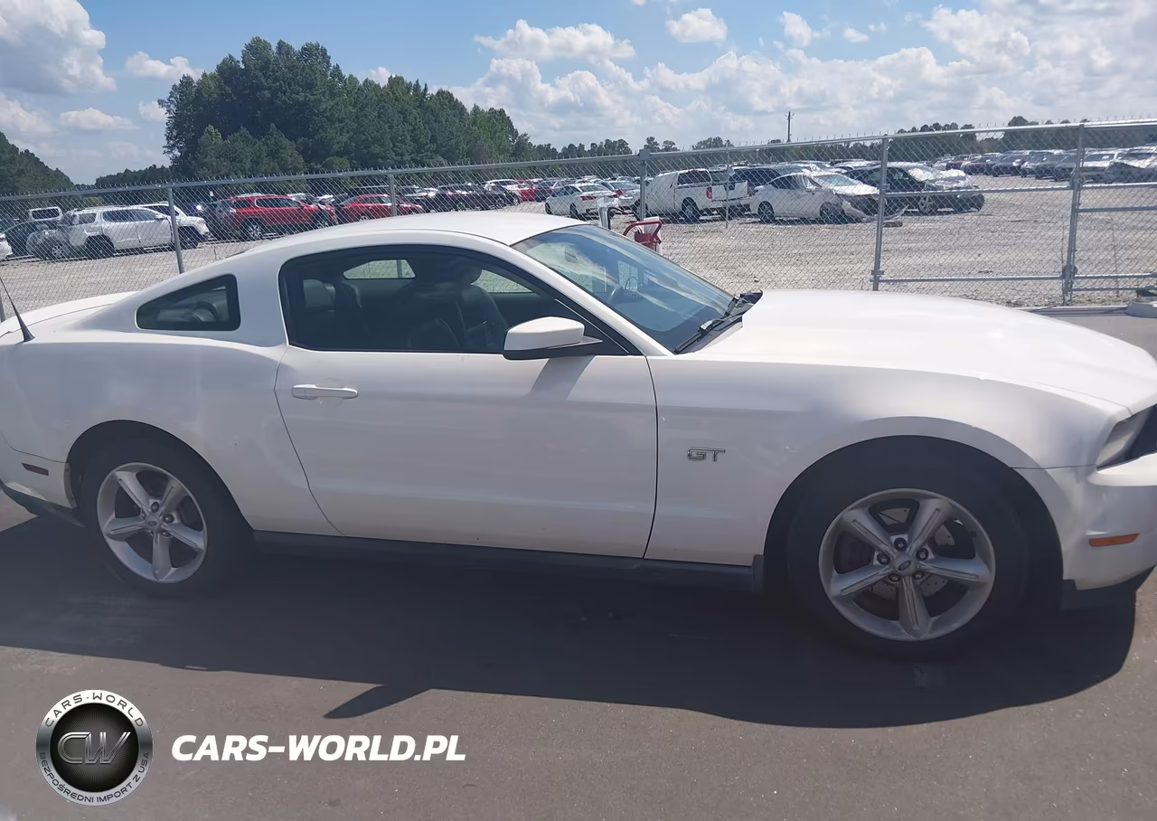 2010 Ford Mustang Gt-Gt Premium VIN:1ZVBP8CH6A5150040 - 13