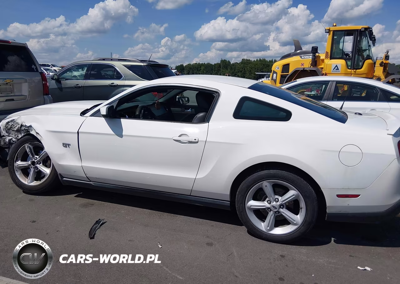 2010 Ford Mustang Gt-Gt Premium VIN:1ZVBP8CH6A5150040 - 14