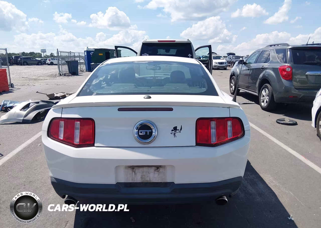 2010 Ford Mustang Gt-Gt Premium VIN:1ZVBP8CH6A5150040 - 16