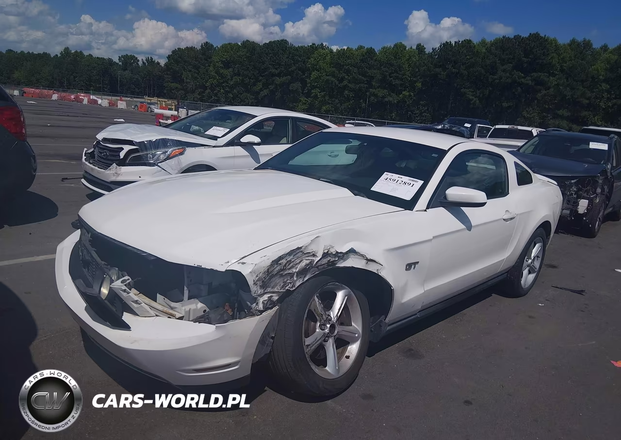 2010 Ford Mustang Gt-Gt Premium VIN:1ZVBP8CH6A5150040 - 2