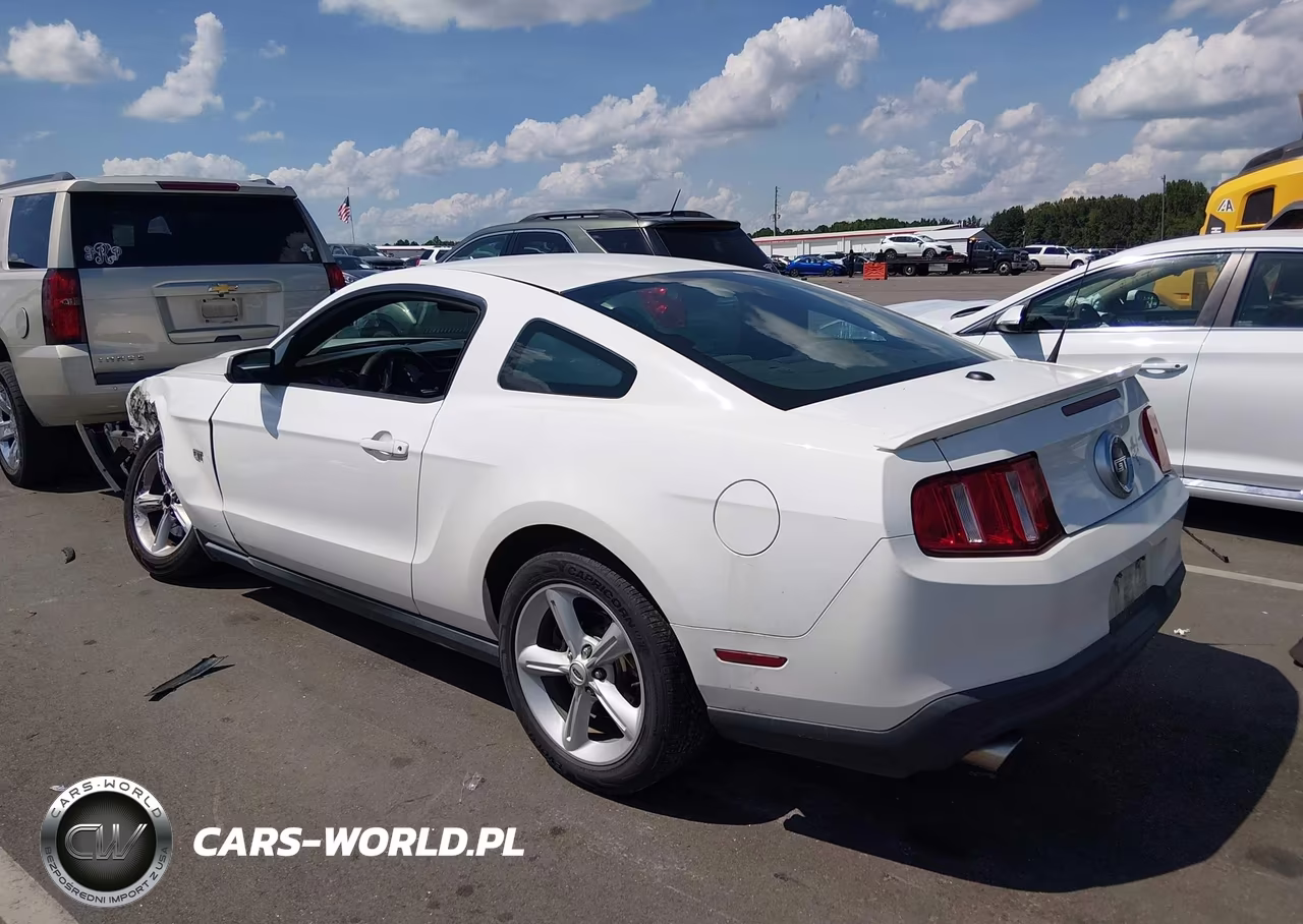 2010 Ford Mustang Gt-Gt Premium VIN:1ZVBP8CH6A5150040 - 3
