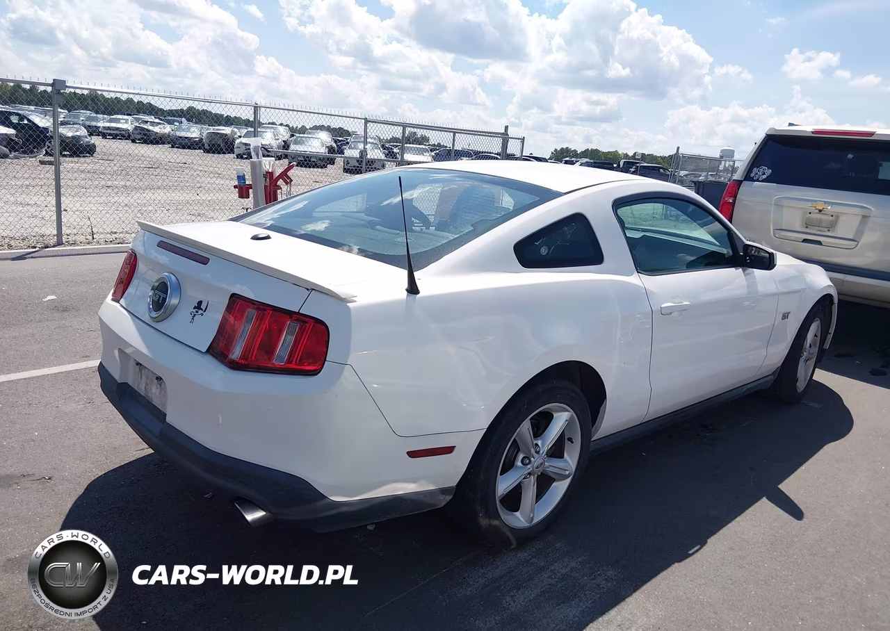 2010 Ford Mustang Gt-Gt Premium VIN:1ZVBP8CH6A5150040 - 4