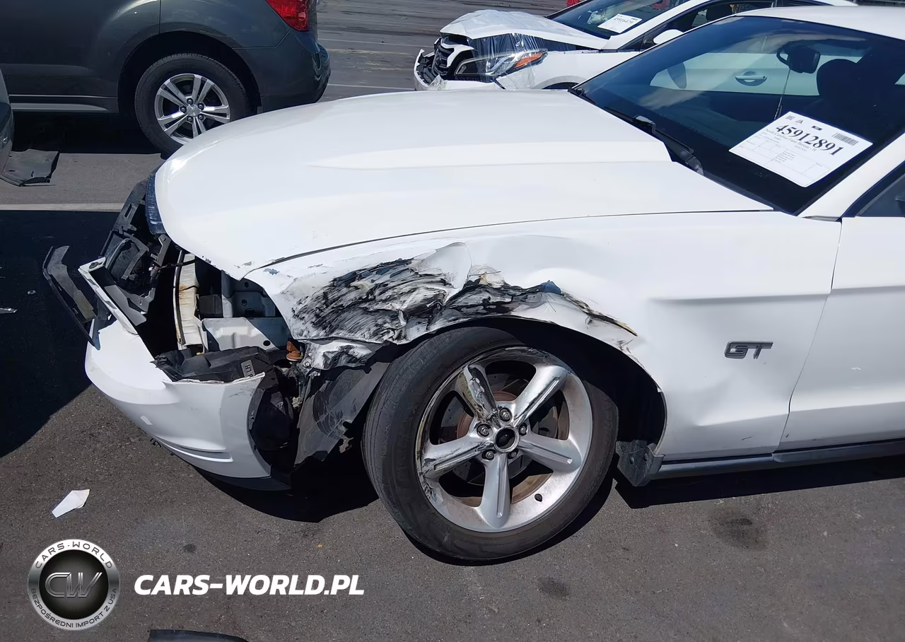 2010 Ford Mustang Gt-Gt Premium VIN:1ZVBP8CH6A5150040 - 6
