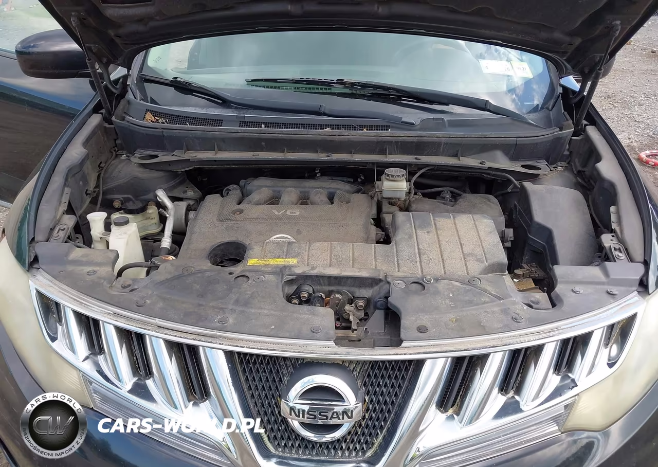 2010 Nissan Murano S VIN:JN8AZ1MW0AW128028 - 10