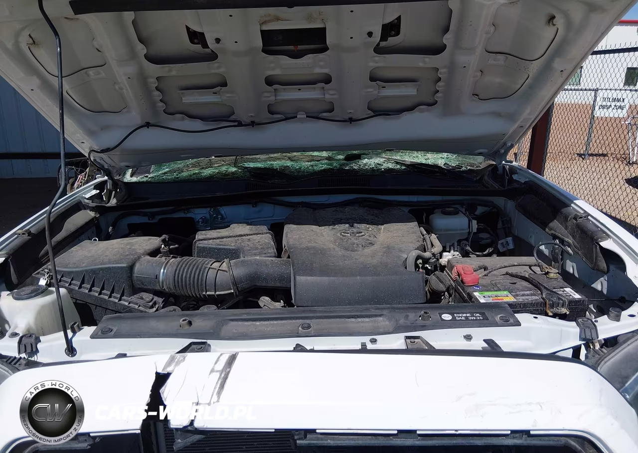 2019 Toyota Tacoma Trd Pro VIN:5TFCZ5ANXKX189678 - 10