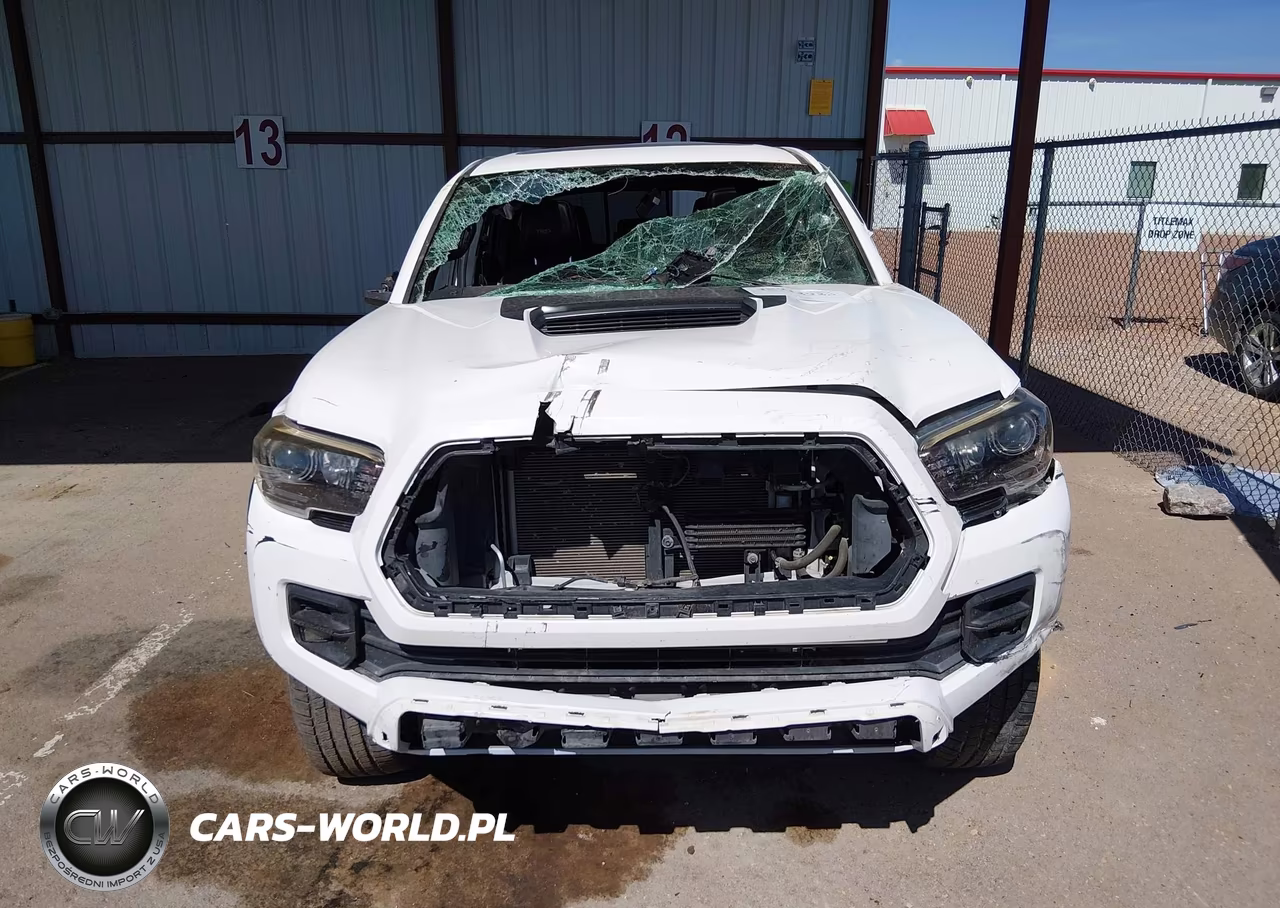 2019 Toyota Tacoma Trd Pro VIN:5TFCZ5ANXKX189678 - 12