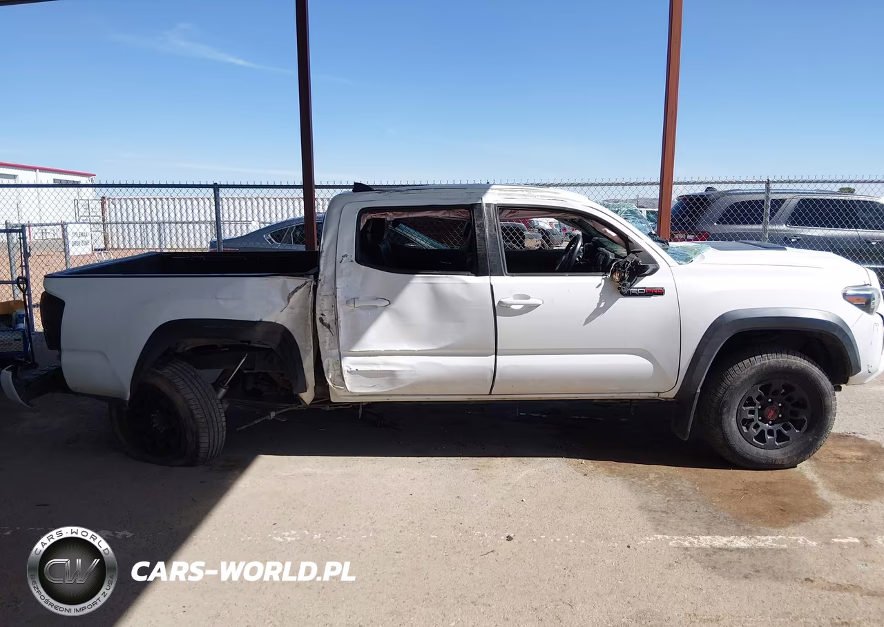 2019 Toyota Tacoma Trd Pro VIN:5TFCZ5ANXKX189678 - 13