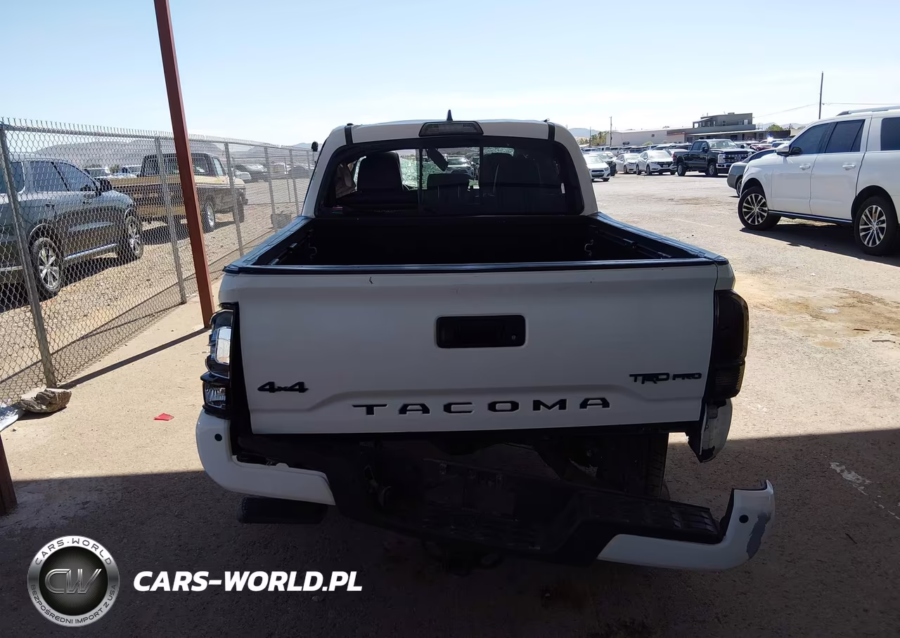 2019 Toyota Tacoma Trd Pro VIN:5TFCZ5ANXKX189678 - 16