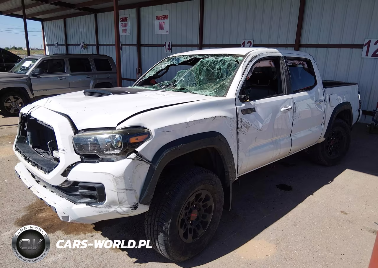 2019 Toyota Tacoma Trd Pro VIN:5TFCZ5ANXKX189678 - 2