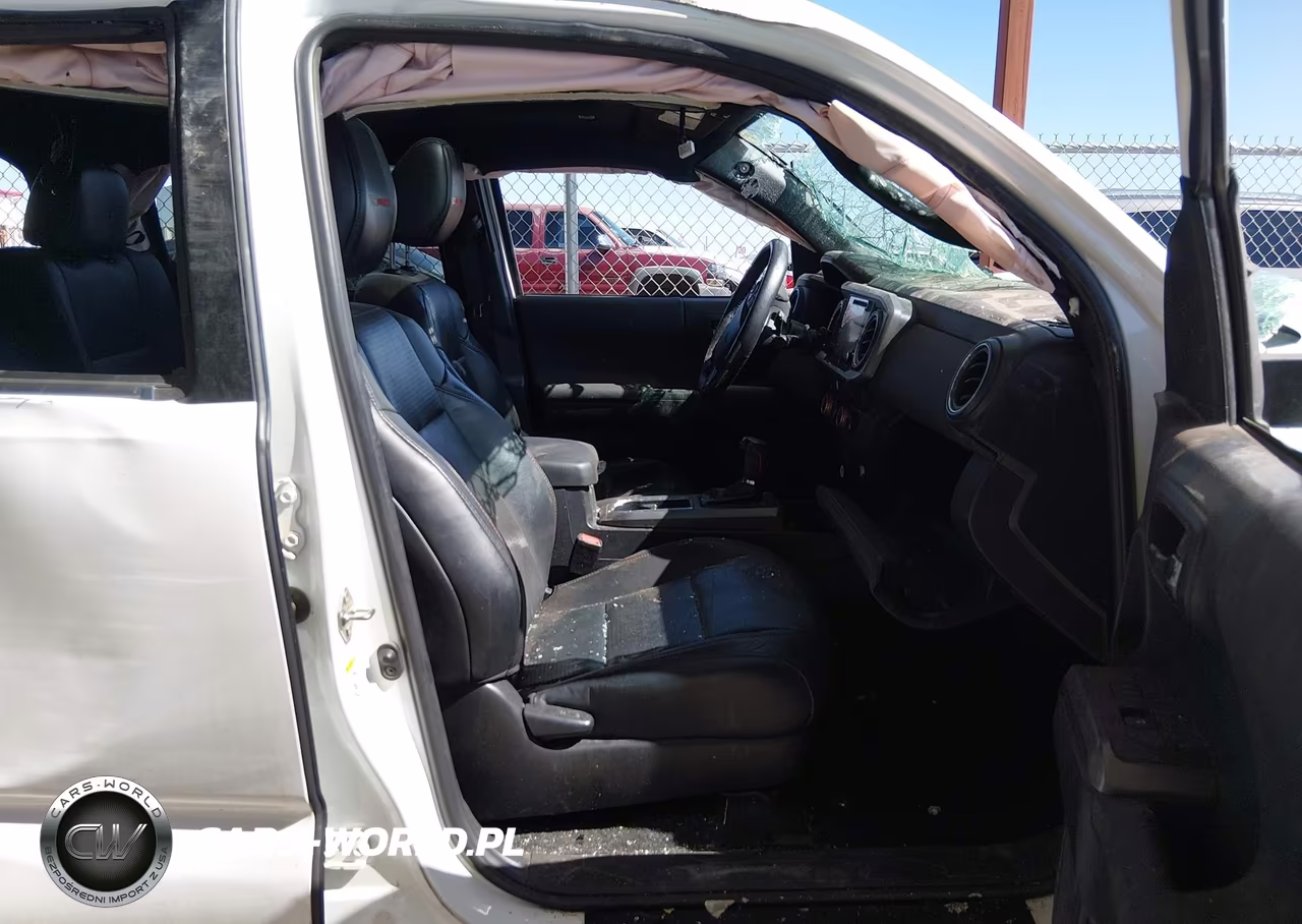 2019 Toyota Tacoma Trd Pro VIN:5TFCZ5ANXKX189678 - 5