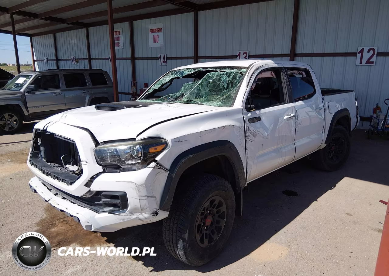 2019 Toyota Tacoma Trd Pro VIN:5TFCZ5ANXKX189678 - 6